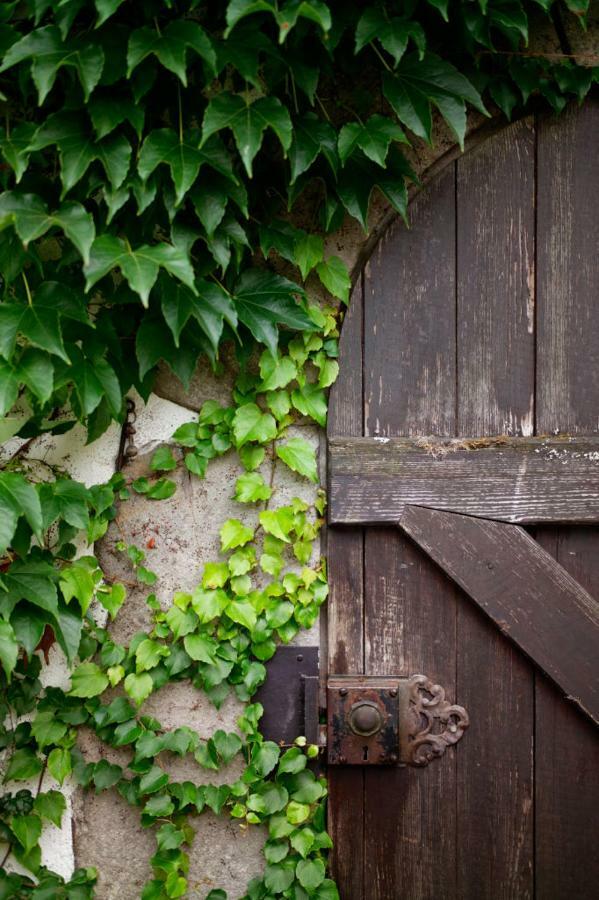 Obere Mühle - Scheunenwohnung mitten im Grünen Baunach Exterior foto